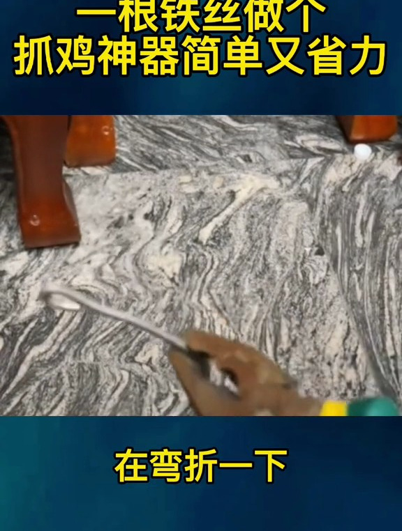 一根铁丝做个抓鸡神器简单又省力 养鸡人 三农 养鸡小妙招
