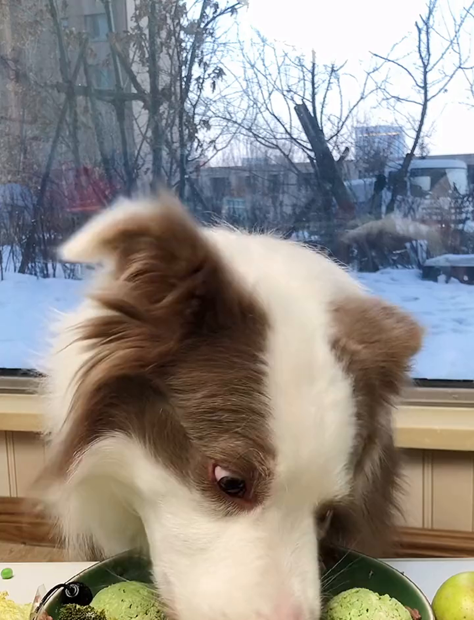 就这一顿饭,咱们只挑绿色蔬菜吃会怎样?