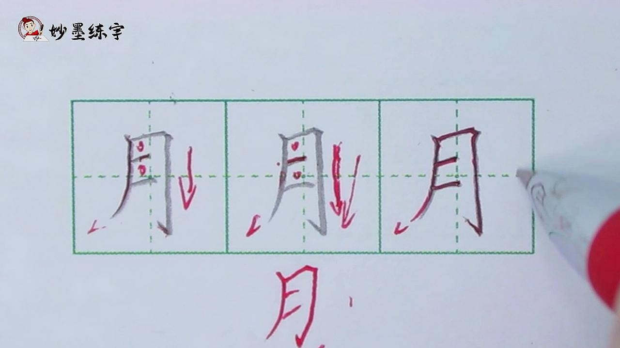 [图]妙墨练字:硬笔书法一年级语文同步生字练习“月”字的写法