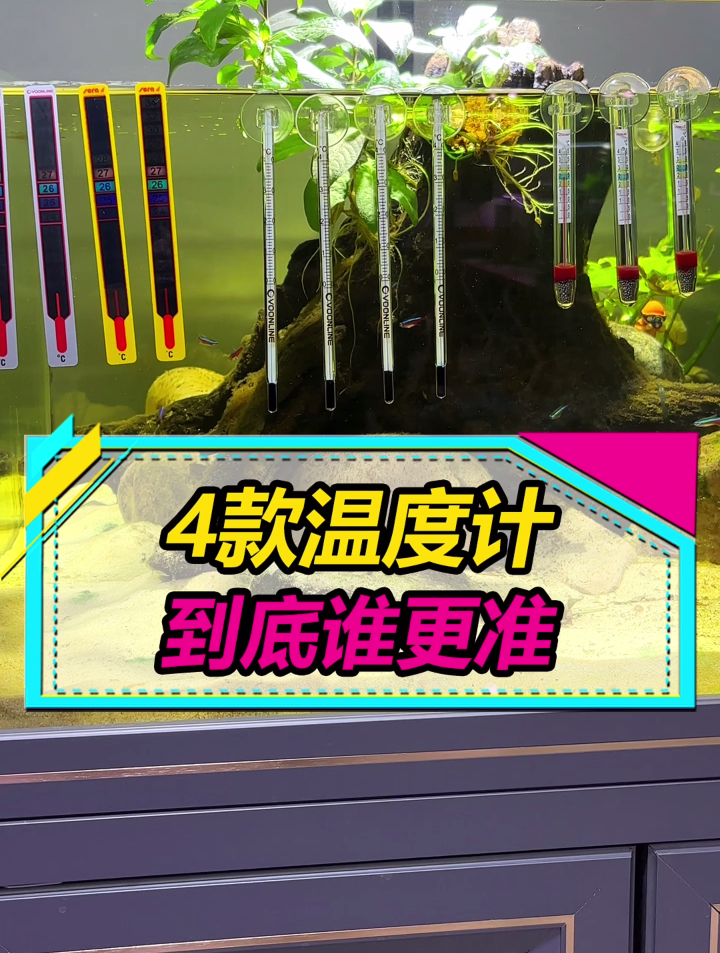4款鱼缸温度计测评,哪个会更准?为什么“误差大”反而受喜爱?