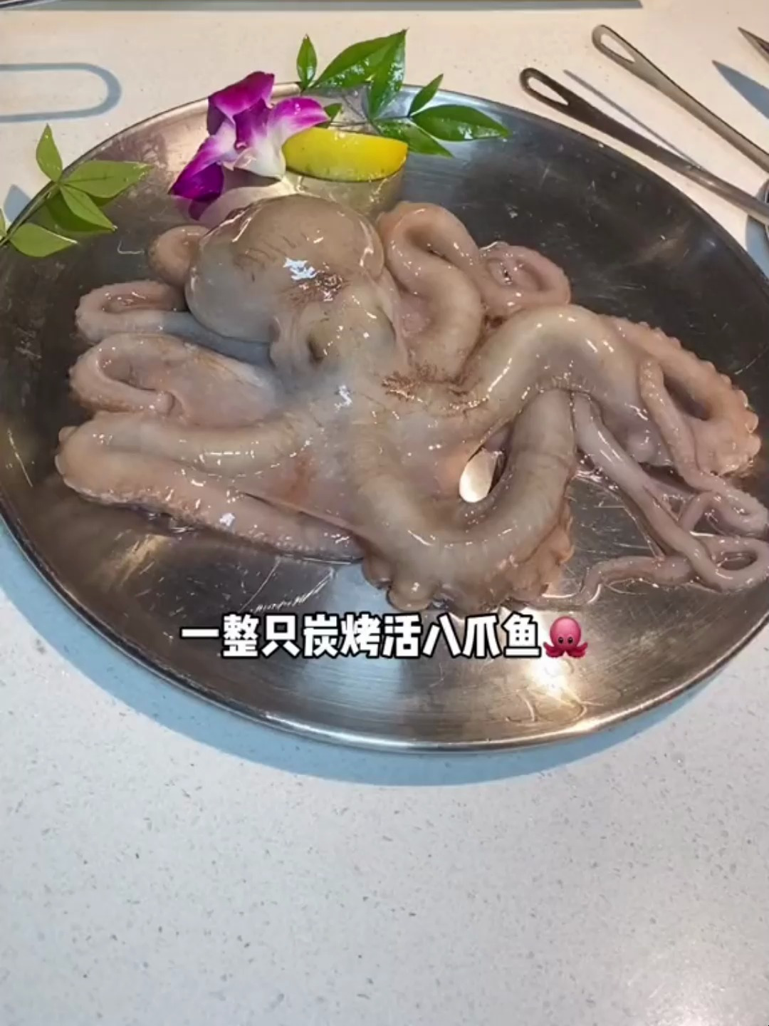 福州这家神奇的烤肉店,可以吃到炭烤活八爪鱼