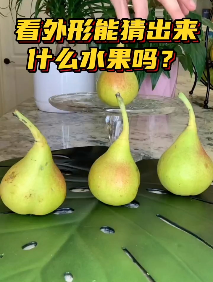 看外形能猜出来什么水果吗?