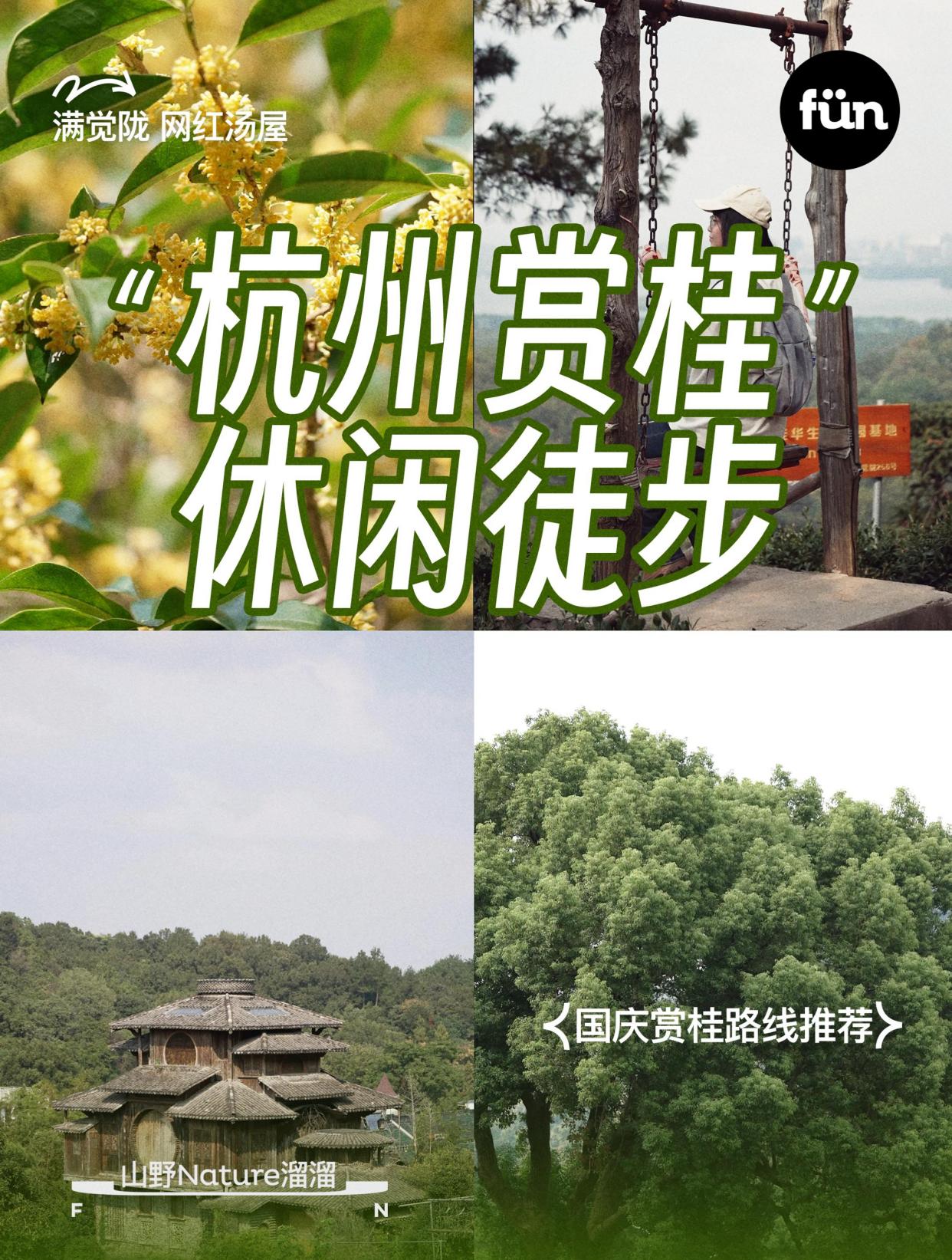 满觉陇赏桂休闲徒步,打卡汤屋和网红秋千