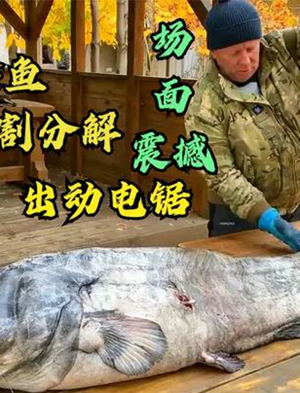 老哥动手切80斤大鲶鱼做饼馅,每块饼塞一斤多,太震撼了!