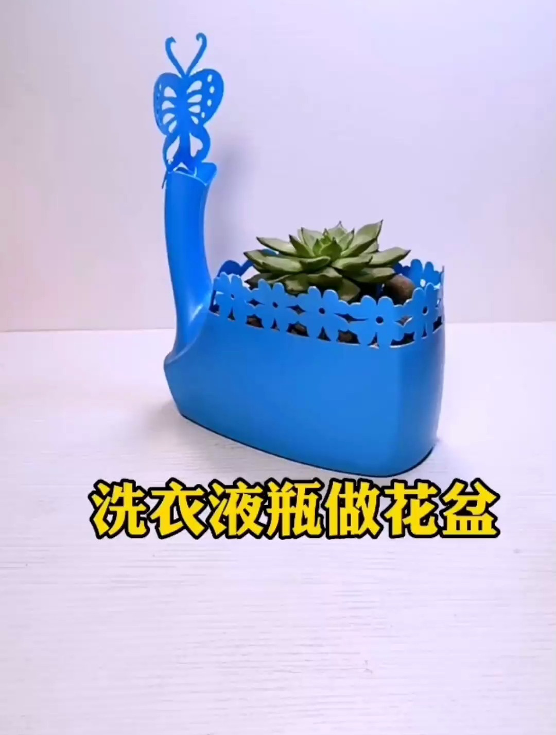 洗衣液瓶做花盆 手工diy 自制花盆 变废为宝 废物利用