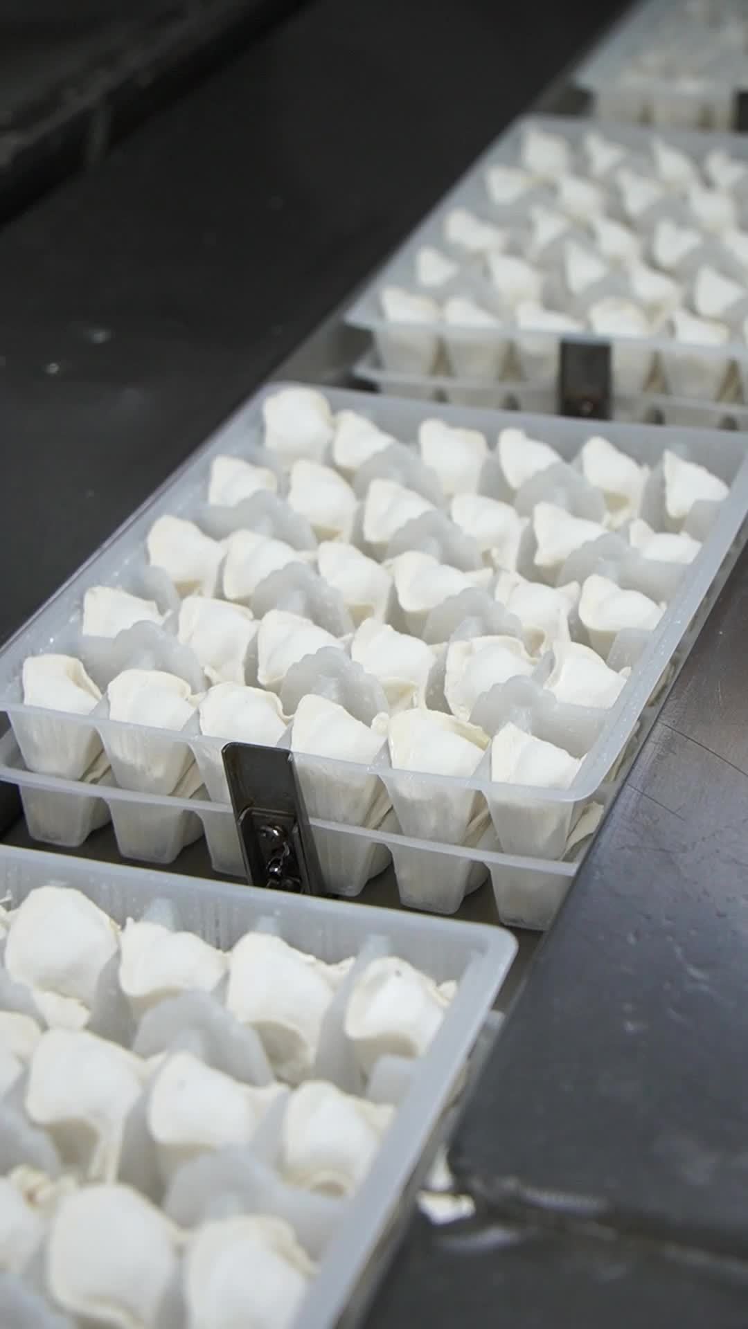 海霸王猪肉水饺盒装生产过程