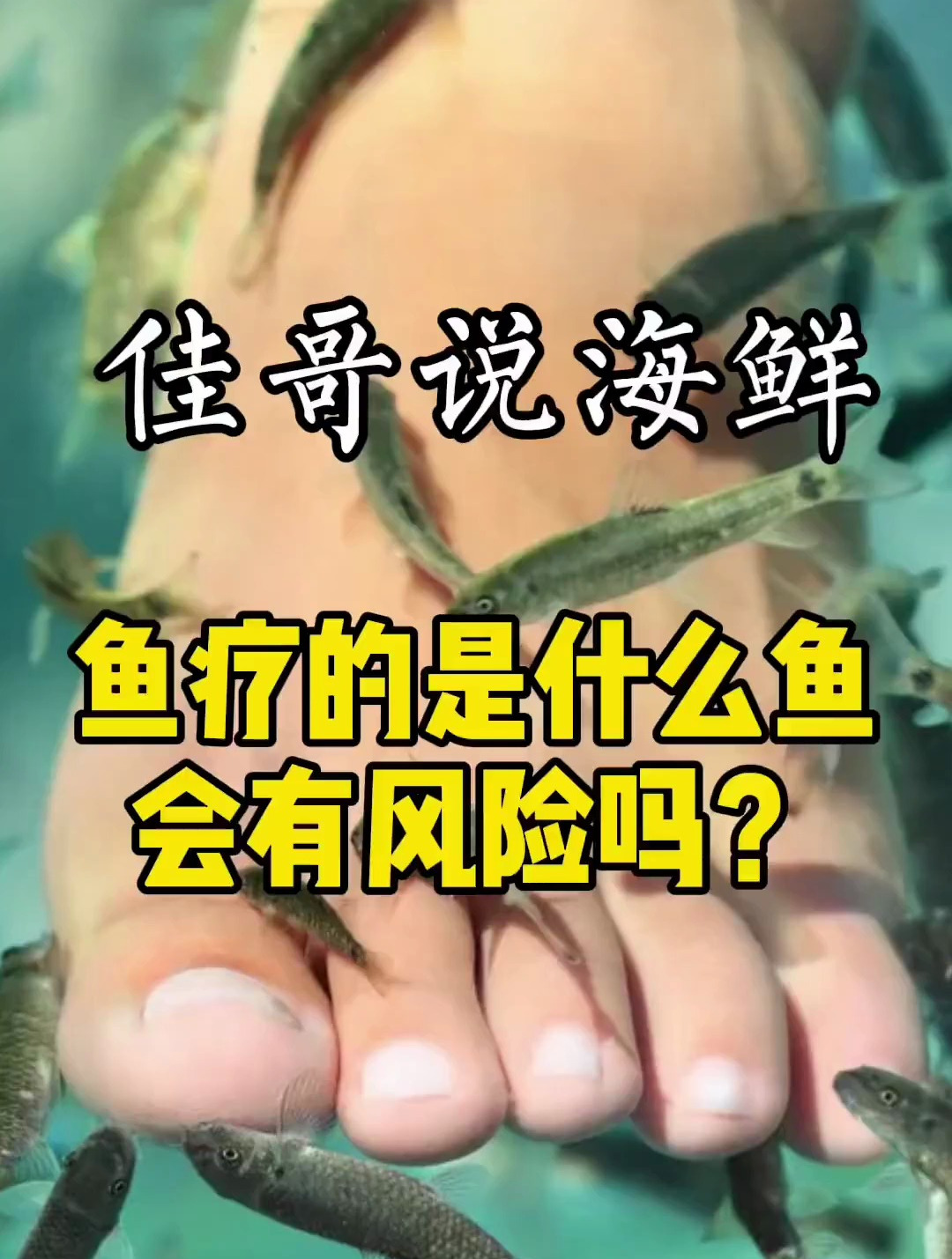 问长大了的罗非鱼还可以吃吗普