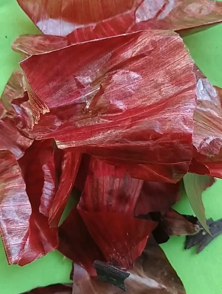 洋葱是生活中常吃的一种蔬菜,有些人将吃完的洋葱皮随手扔掉了
