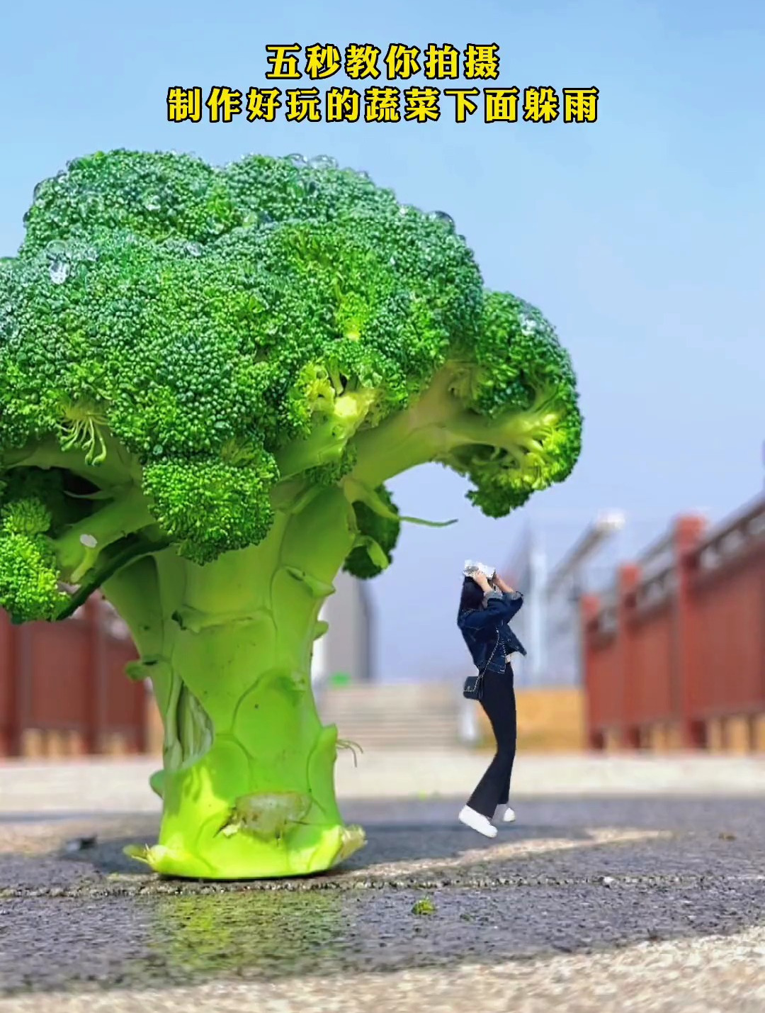 五秒教你拍摄制作好玩的蔬菜下面躲雨