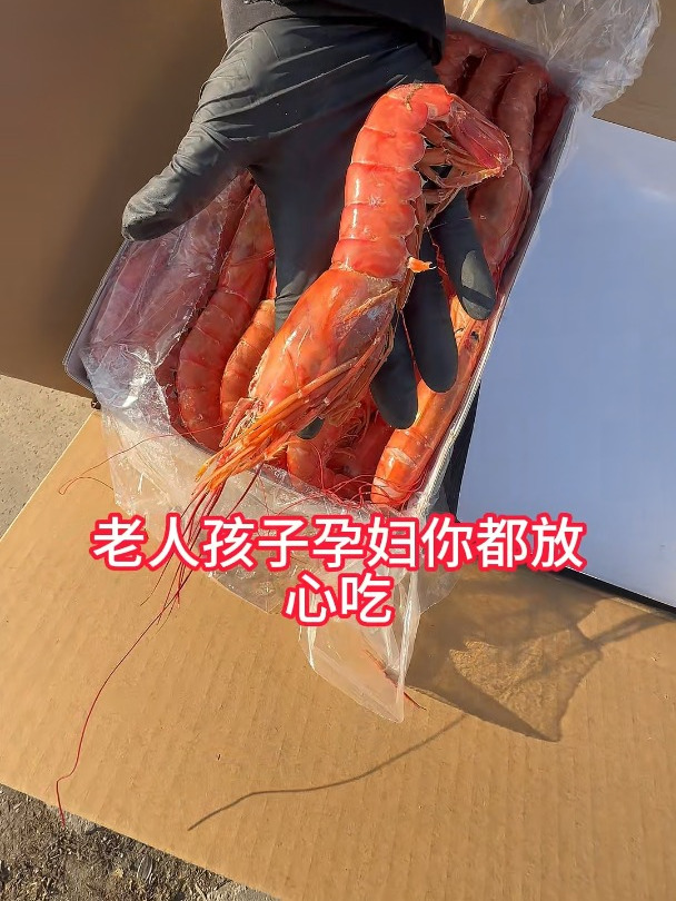有一款深海的冻虾,它比鲜虾还好吃!吃货们看过来~
