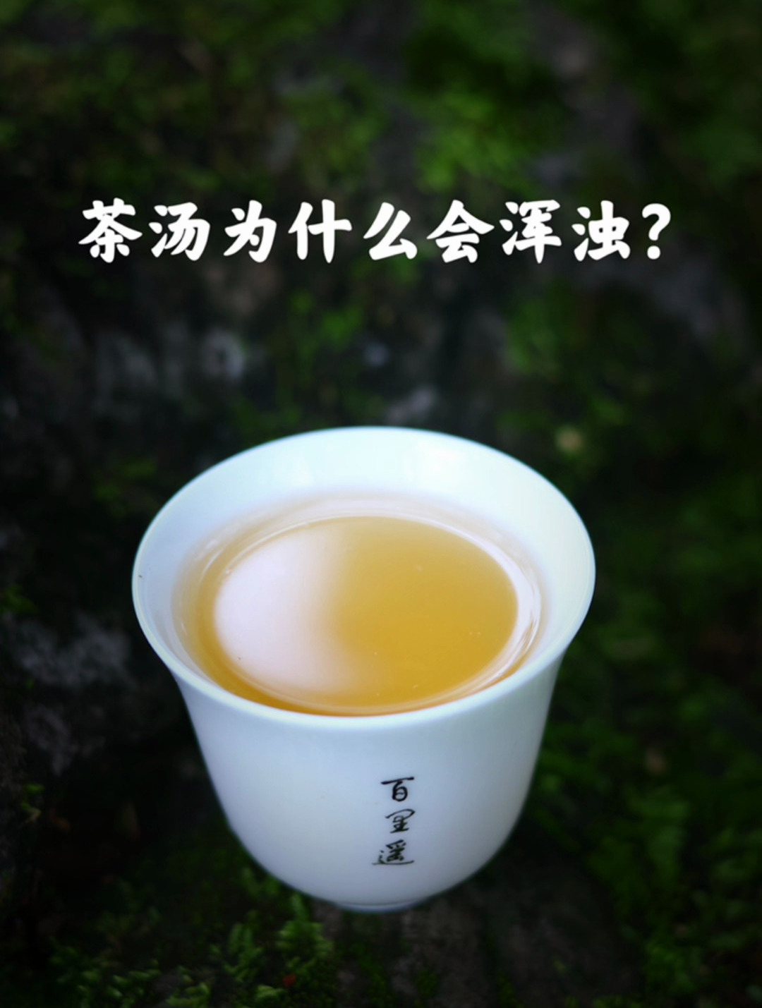 普洱春茶茶汤浑浊的原因有哪些?