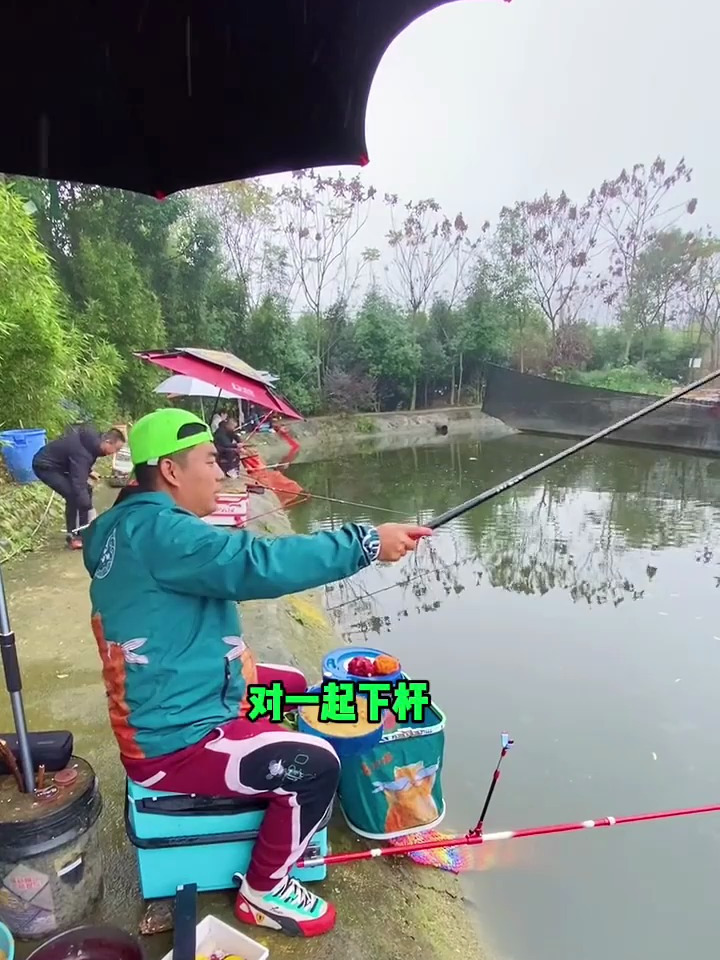 今天这小炮塘有意思,钓鱼人黑坑盘老板娘