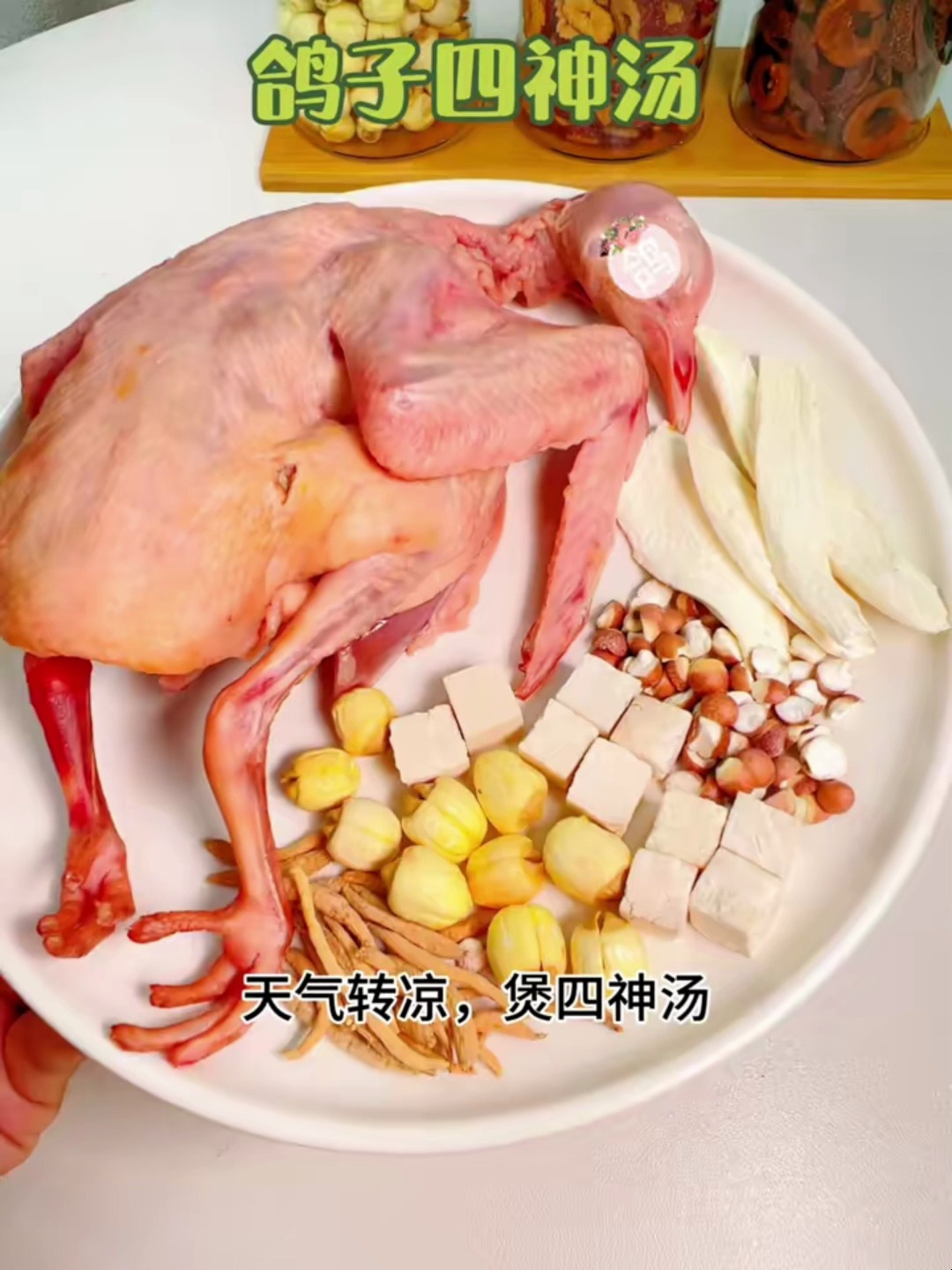 四神鸽子汤健脾养胃祛湿温补五脏!适合体虚、儿童健脑长个!