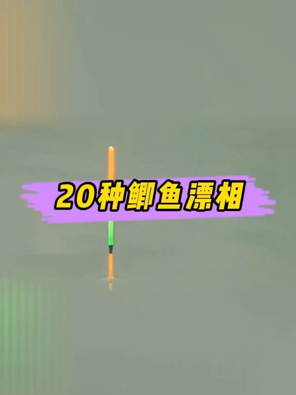 20种钓鲫鱼漂相,建议学习,对新手帮助特别大