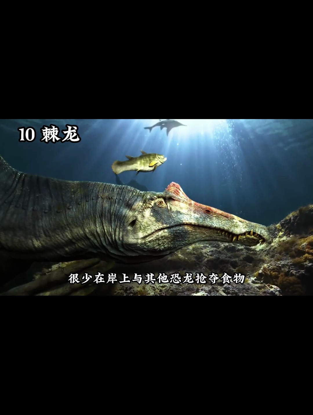 10种最强的肉食性恐龙排行