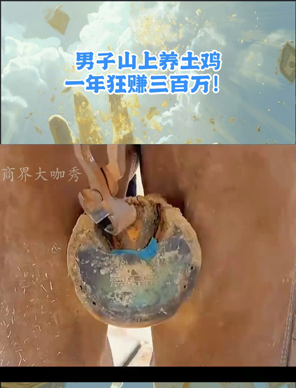 男子山上养土鸡,一年狂赚三百万!