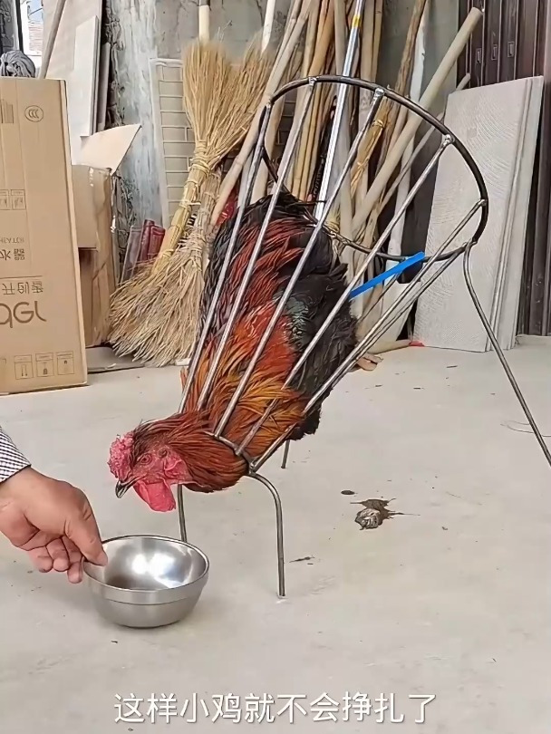 这个工具研究的太厉害了,有了它杀鸡就方便多了