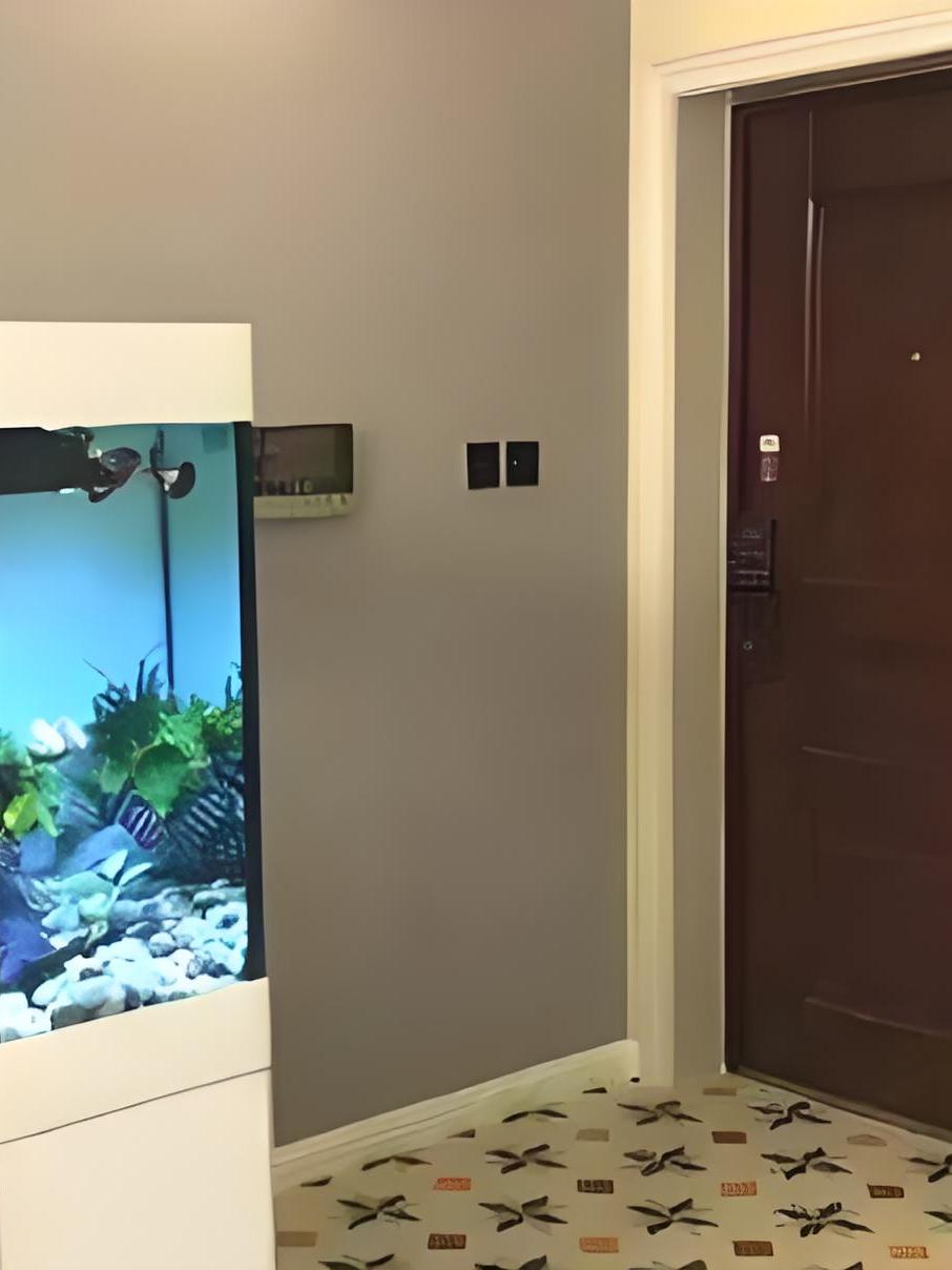 大门对鱼缸好不好?入户门对着鱼缸有什么影响?