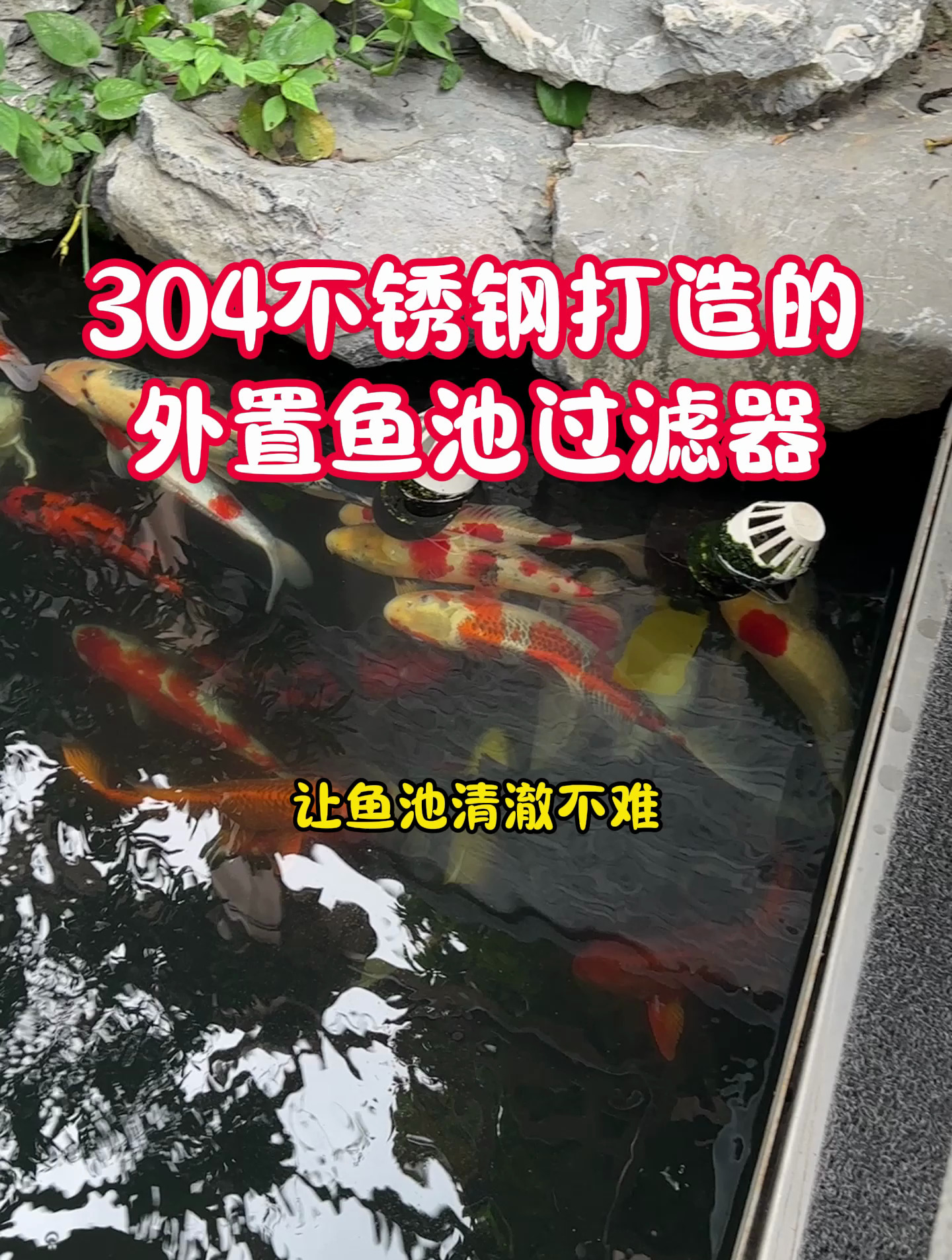 只要安装上这个外置鱼池过滤器,鱼池清澈就不是问题了!