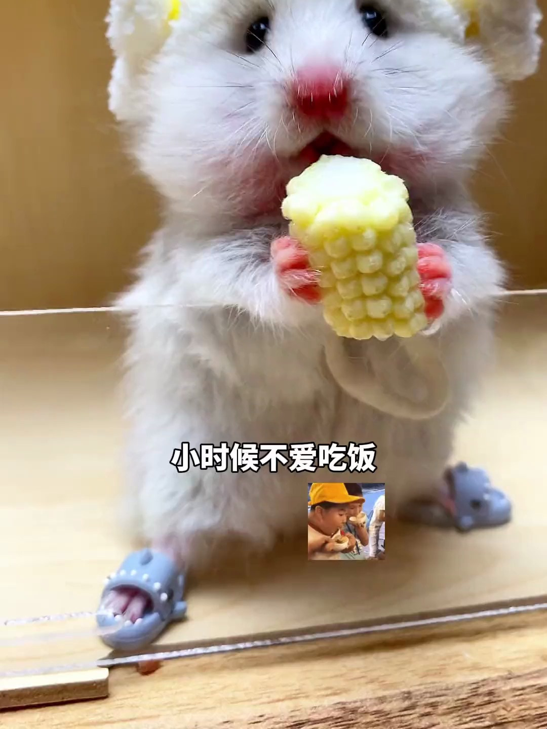 吃小鱼干吃出表情包,你可真行