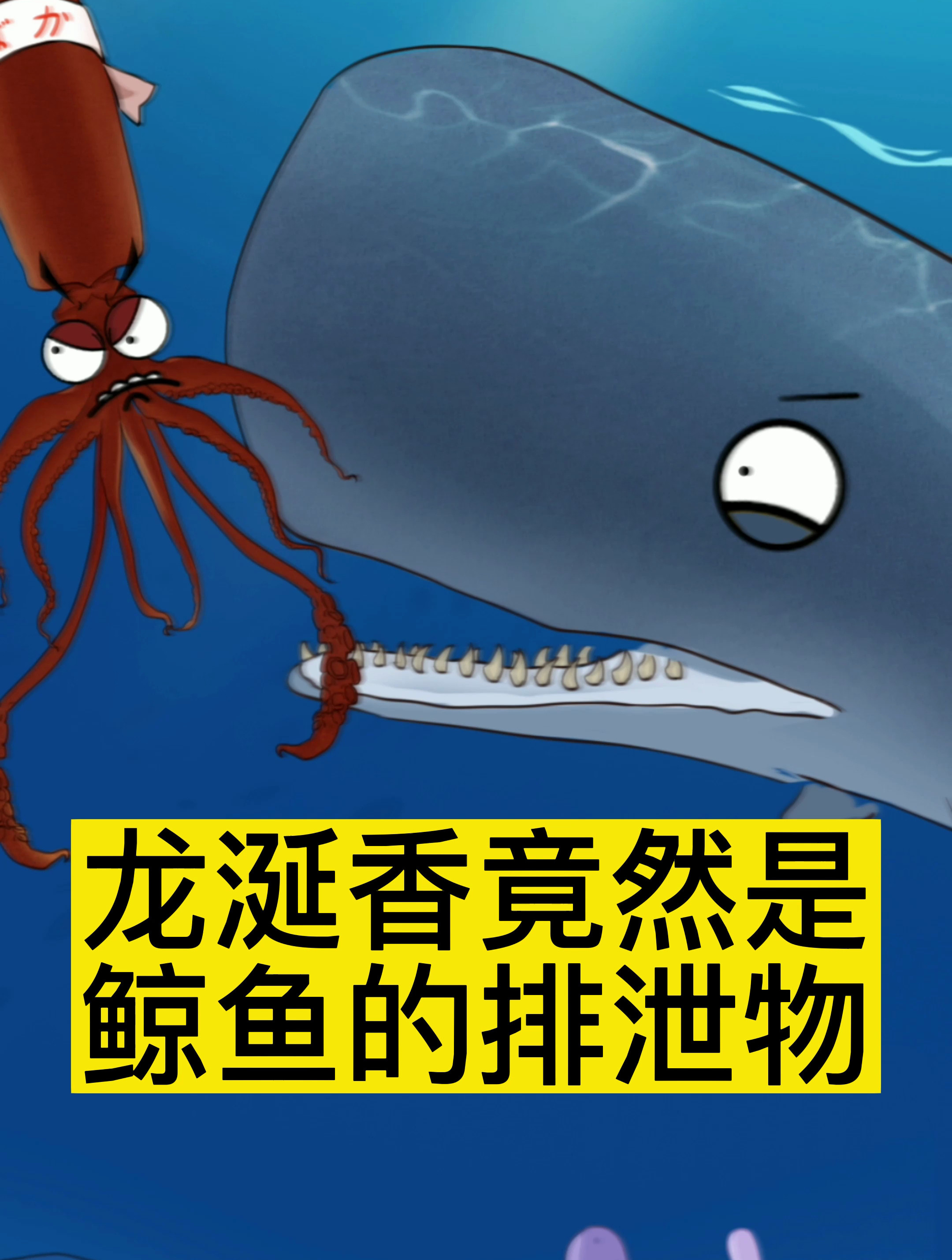 龙涎香竟然是鲸鱼的排泄物