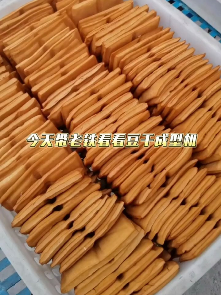 半自动豆干机演示 豆将军豆腐干机操作流程 豆制品加工设备厂家