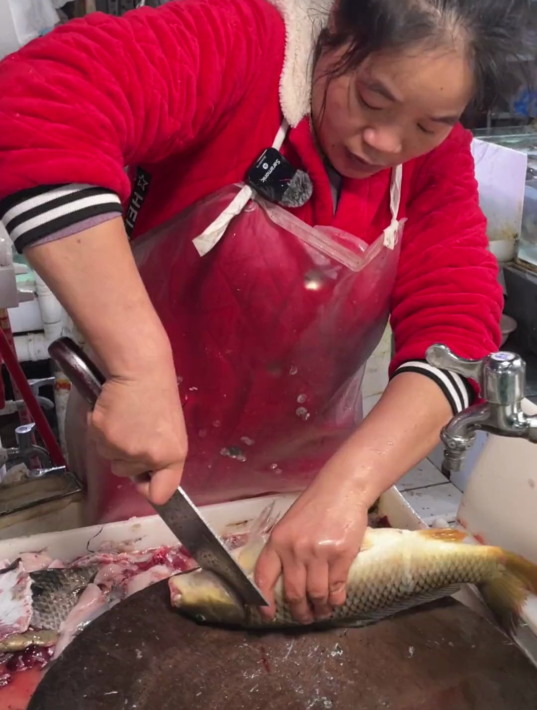 鲤鱼鱼生,改花刀切成鱼扣,嘎嘎香