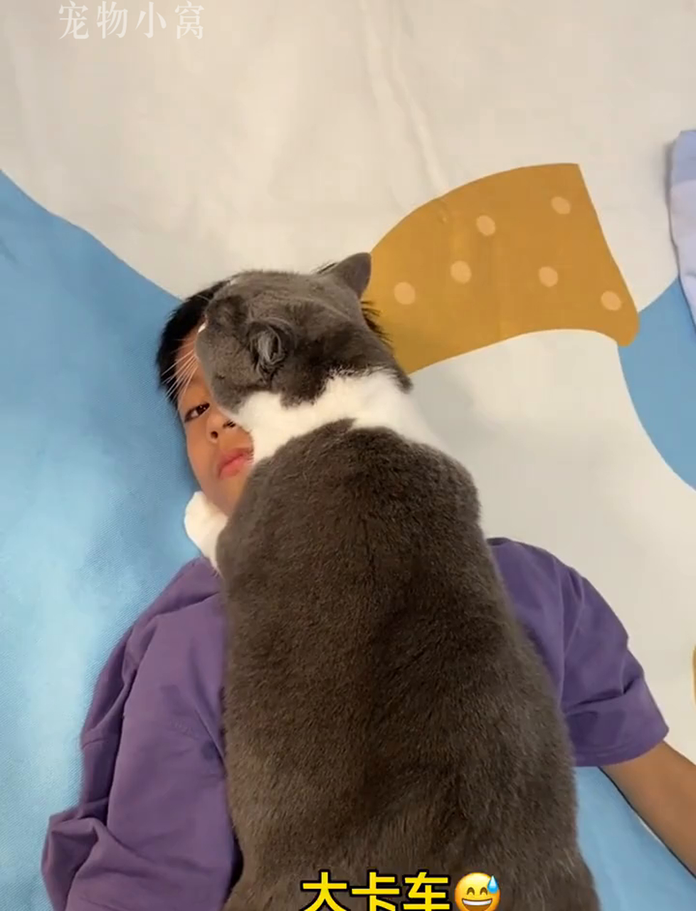 放假后哥哥成小猫咪新宠,黏得不行!