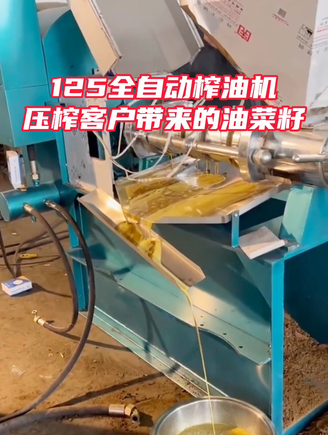 125全自动榨油机压榨客户带来的油菜籽出油清亮