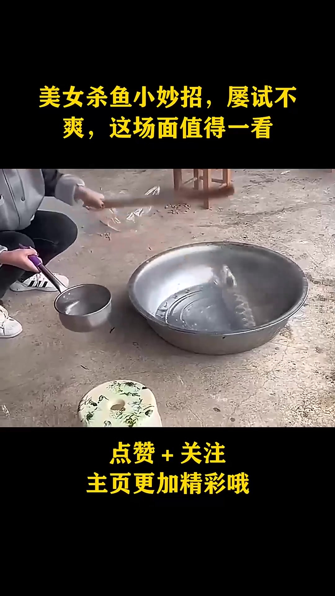 美女杀鱼小妙招,屡试不爽,这场面值得一看