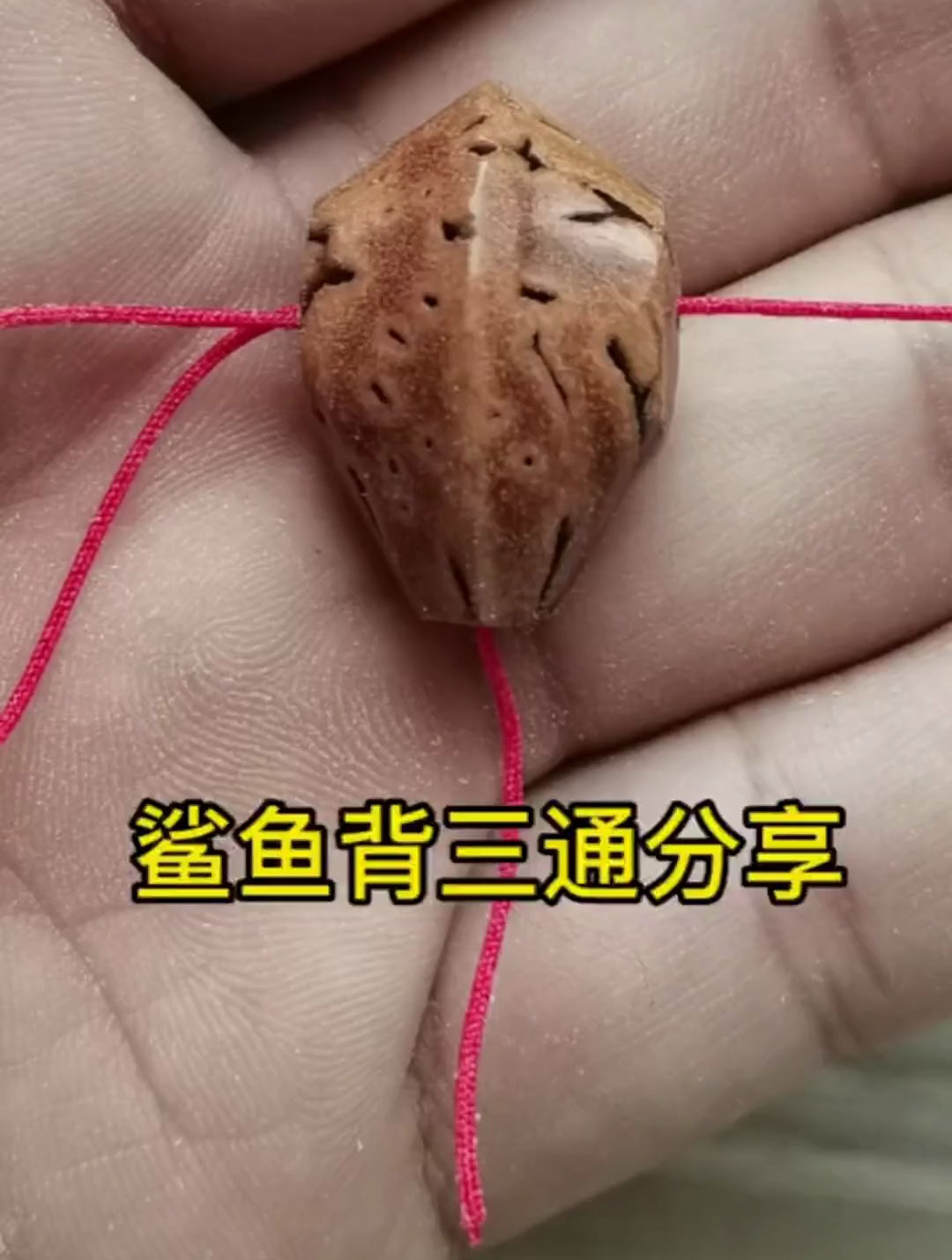 自己动手,做个鲨鱼背三通,串串有配饰了