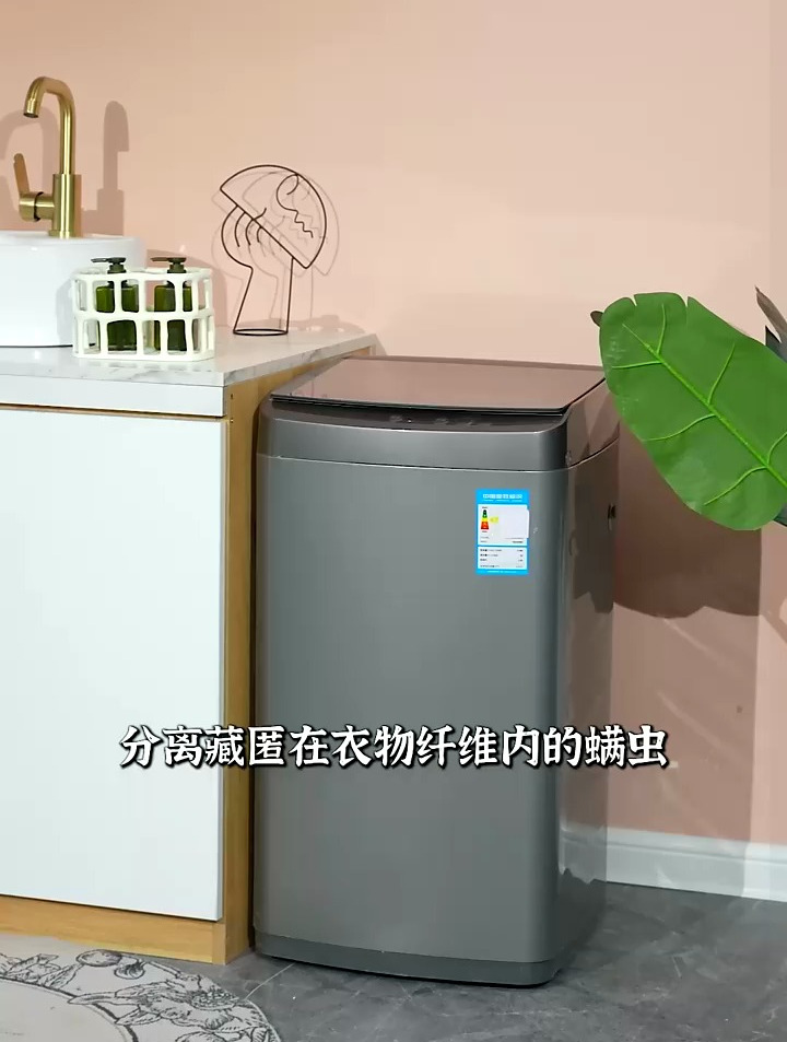 小天鹅(LittleSwan)迷你洗衣机全自动3KG波轮 儿童洗衣机