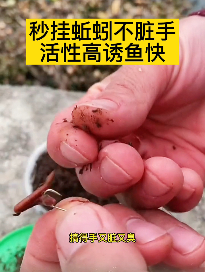 徒手挂蚯蚓,手又脏又臭!老钓友教你一个妙招,挂得快还不脏手