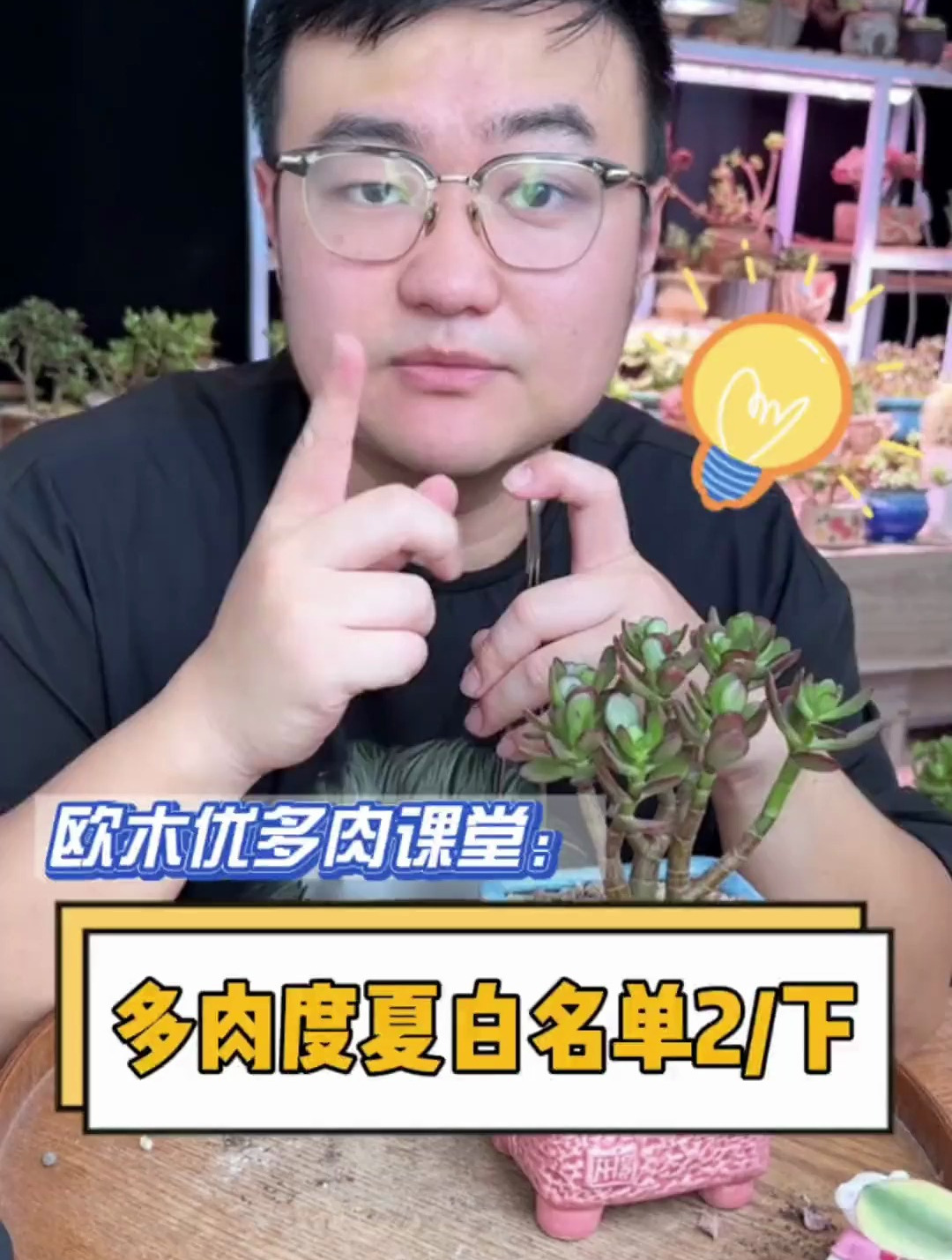 多肉度夏白名单第二弹,下期来了,学会的点赞收藏 多肉
