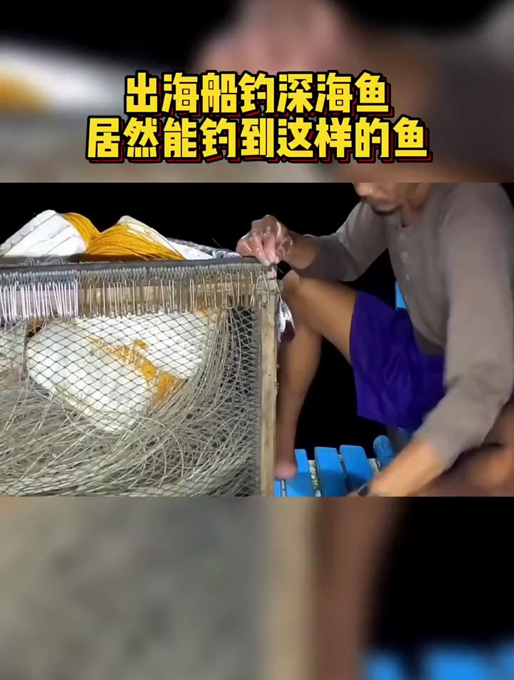 出海船钓深海鱼,没想到能居然能钓到这样的鱼,运气爆棚要发财了