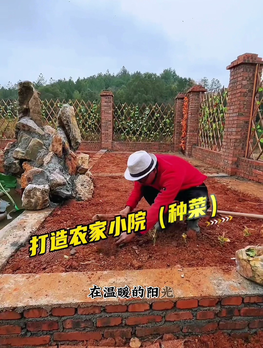 在温暖的阳光下,一颗颗小小的油菜花幼苗被埋入土壤中