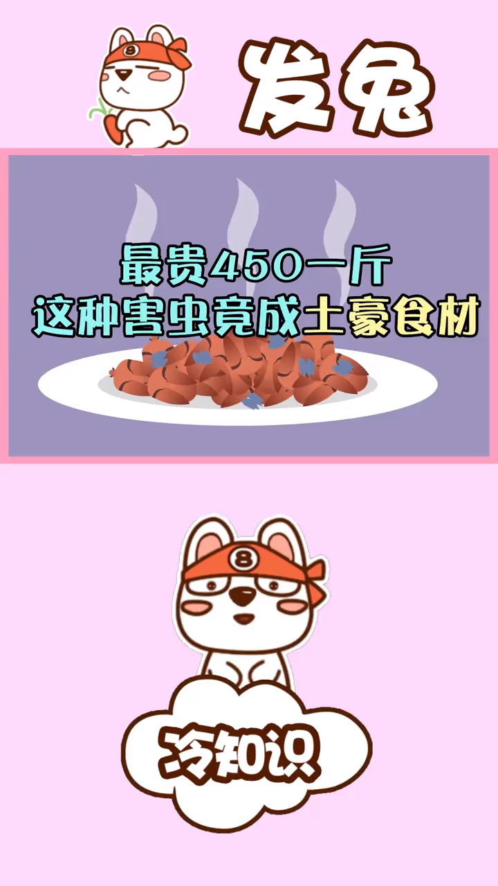 臭虫原来也能吃这种虫子如今450元一斤,你敢尝试吗