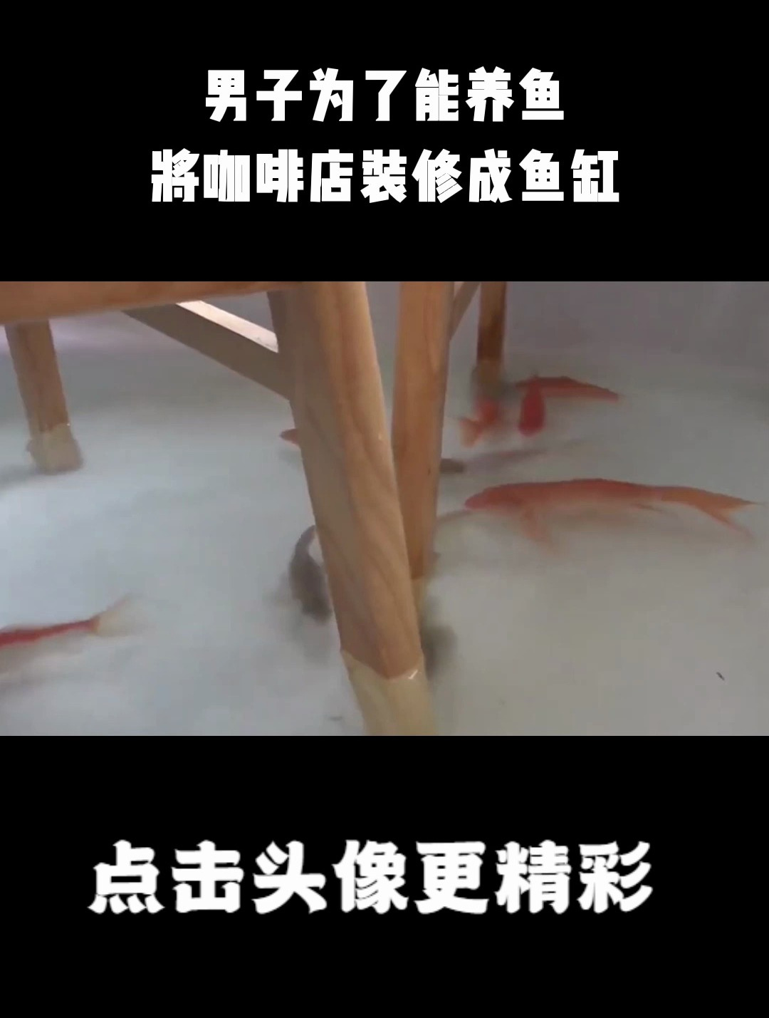 男子为了能养鱼,将咖啡店装修成鱼缸,吸引无数游客前来打卡