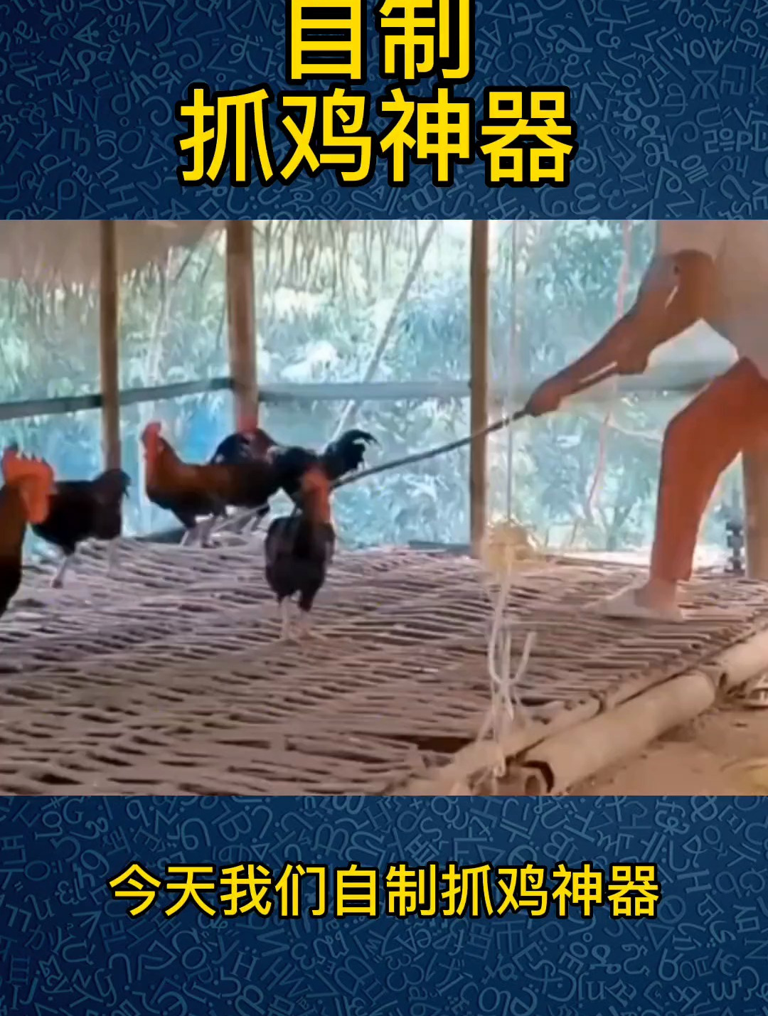 养鸡小妙招:自制抓鸡神器