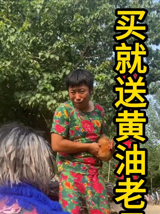 农家散养黄油老母鸡正宗土鸡