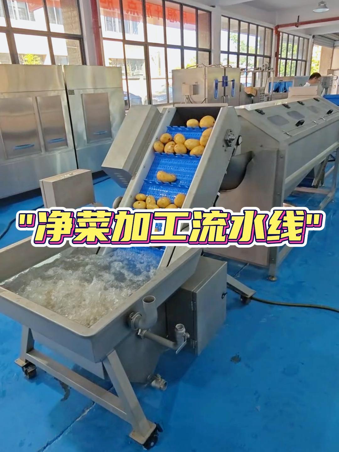 全自动净菜加工流水线农副产品深加工设备土豆清洗切割生产线