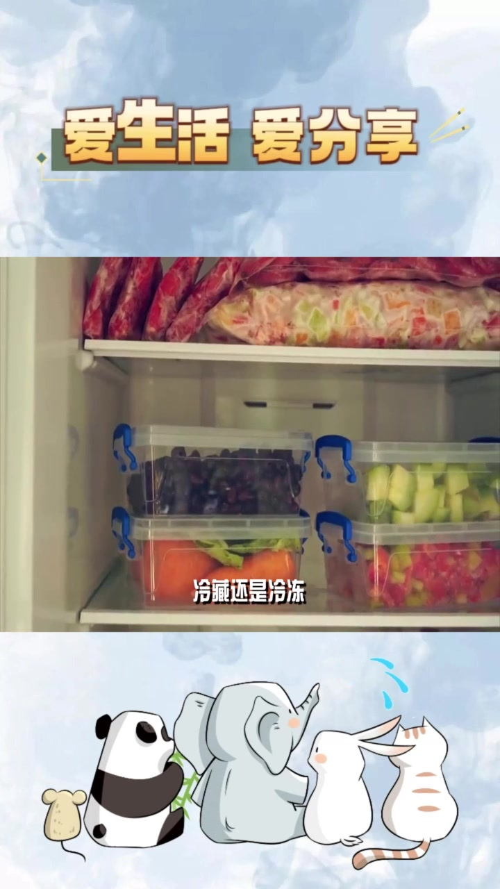 如何选择最佳的食物储存方式