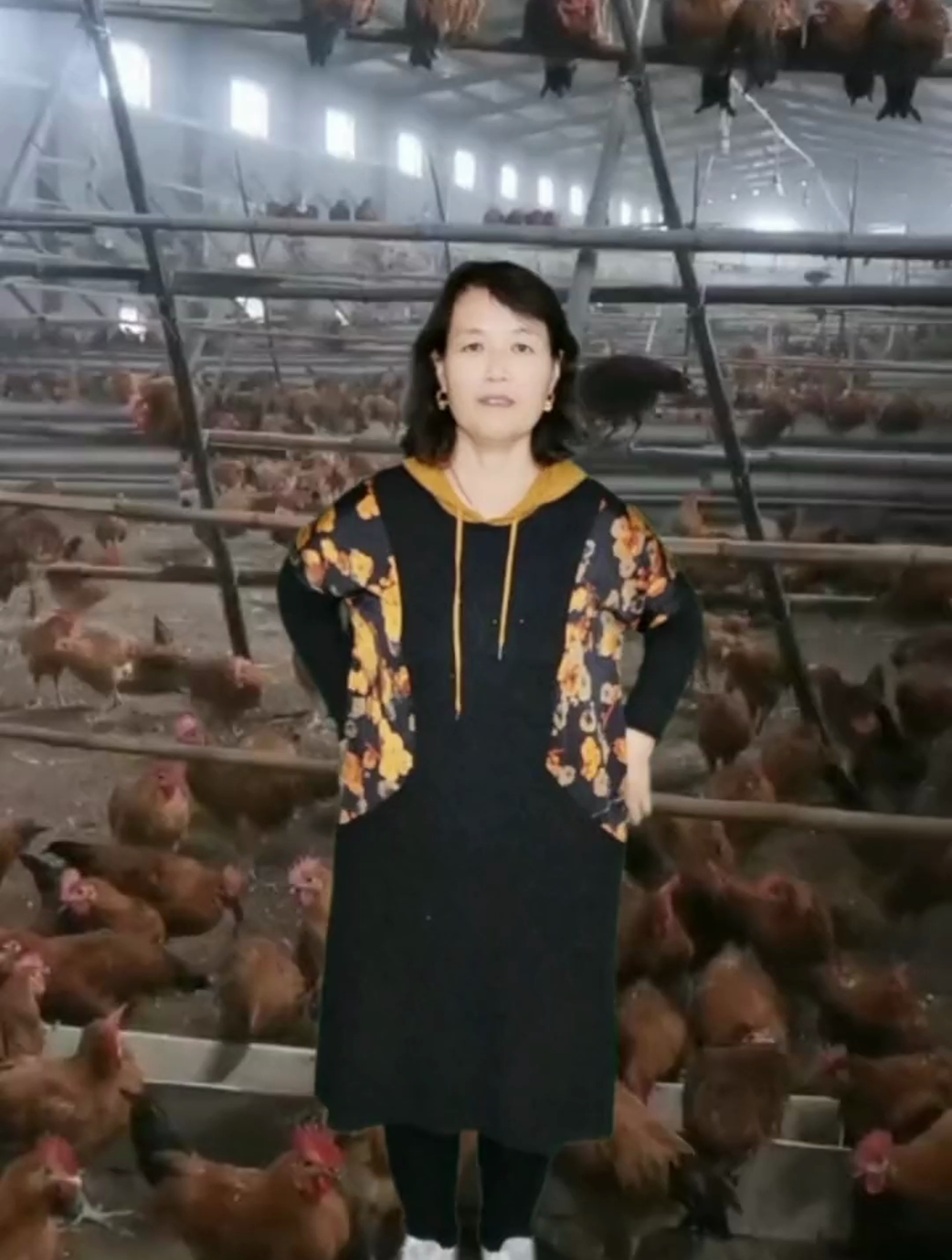 想做脱温鸡生意,怎样做才能走的更远?