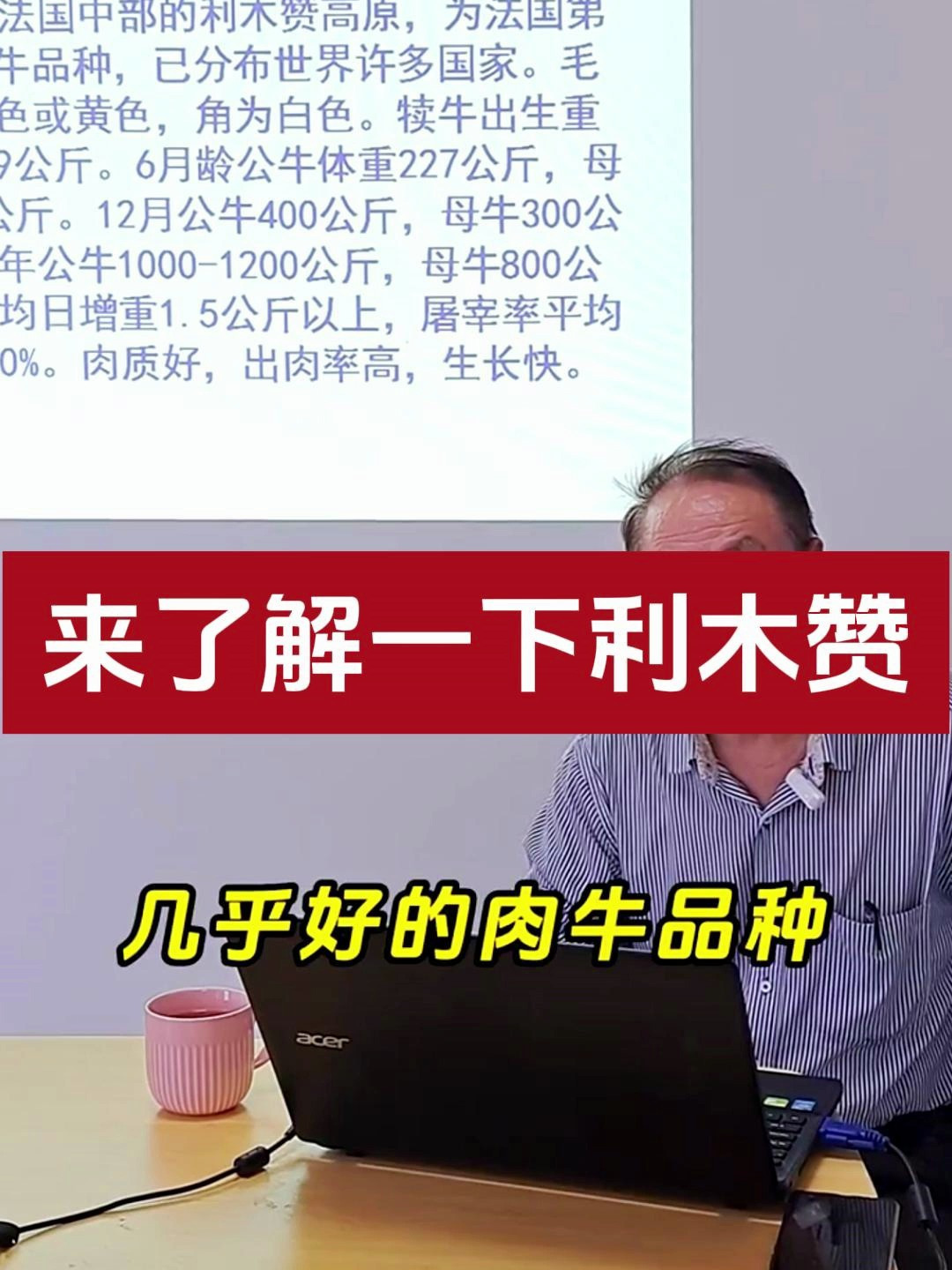 利木赞牛的基本情况