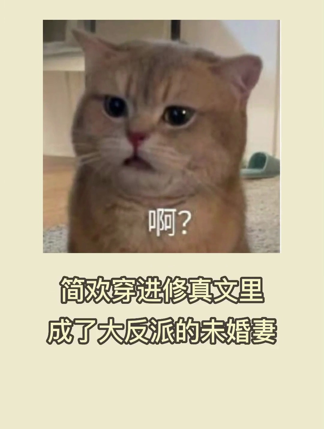 《反派夫妻今天也在明算账》作者:插柳成荫