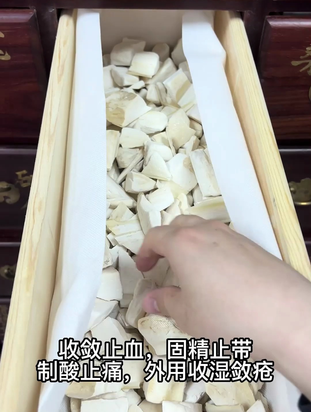 中药科普——海螵蛸