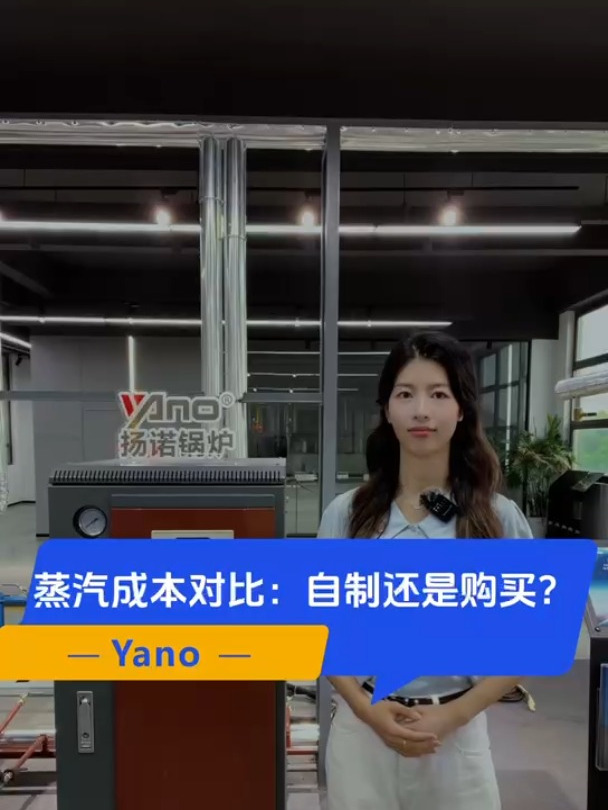 外购蒸汽和蒸汽发生器哪个更省钱?应该选哪种蒸汽发生器类型?