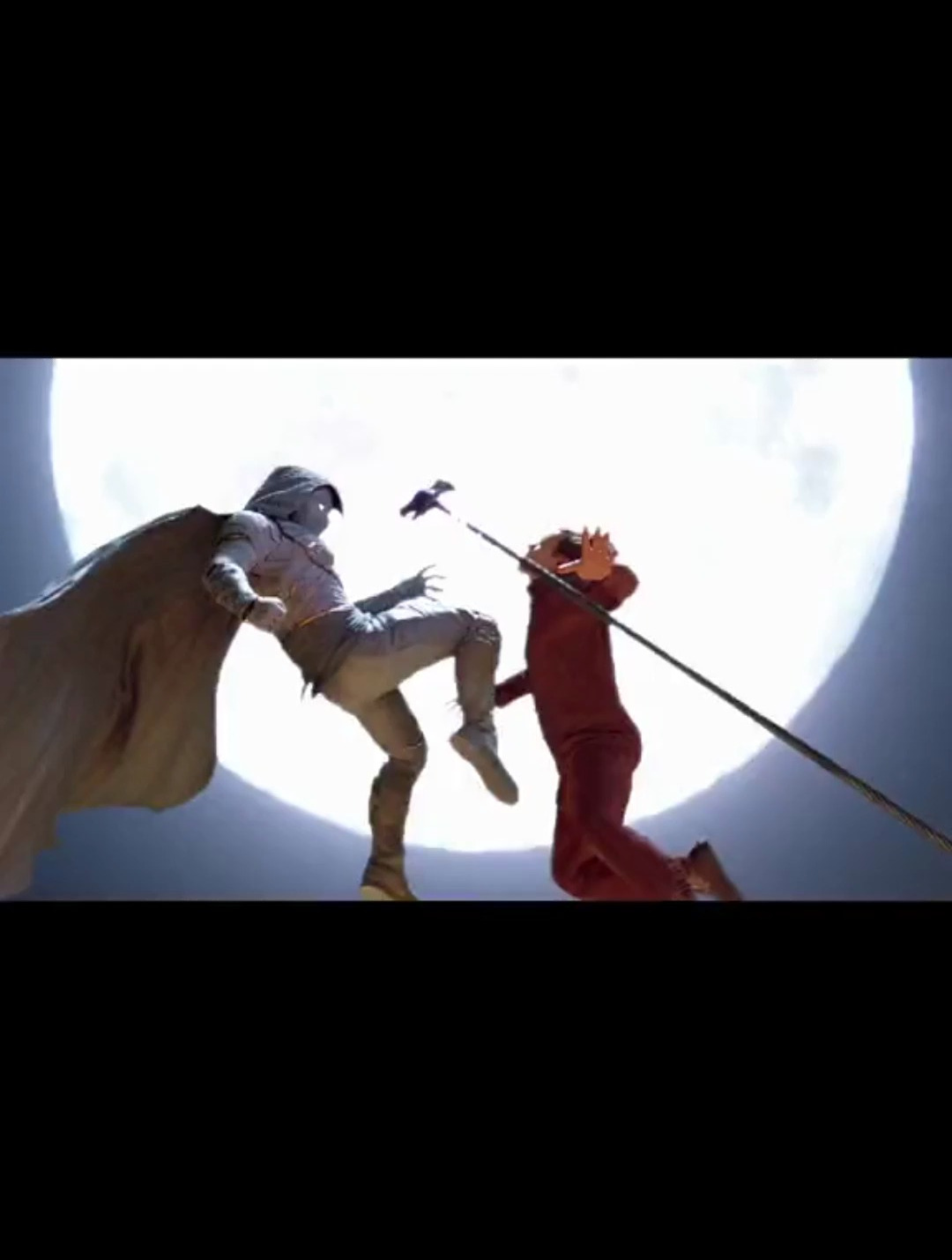 扎着一头脏辫的鳄鱼