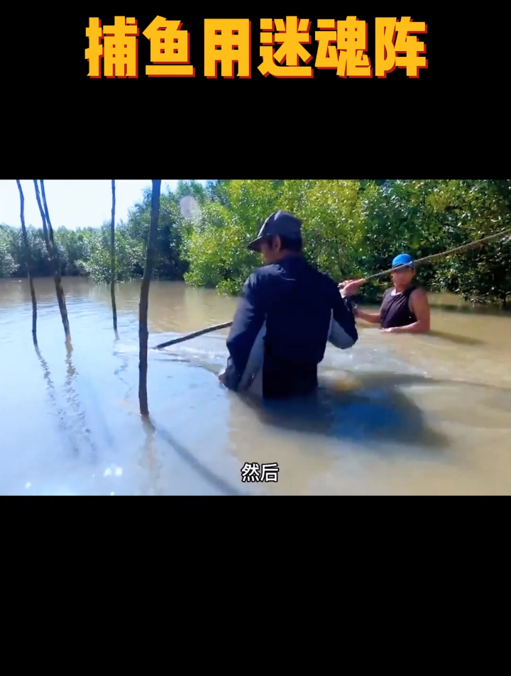 捕鱼竟然用迷魂阵,这操作属实看不明白了