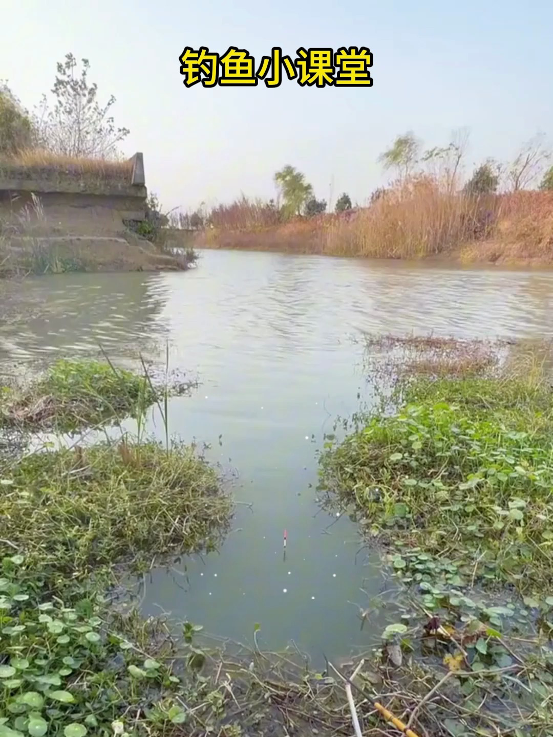 春季钓鲫鱼的爆护秘诀,水深要多深?